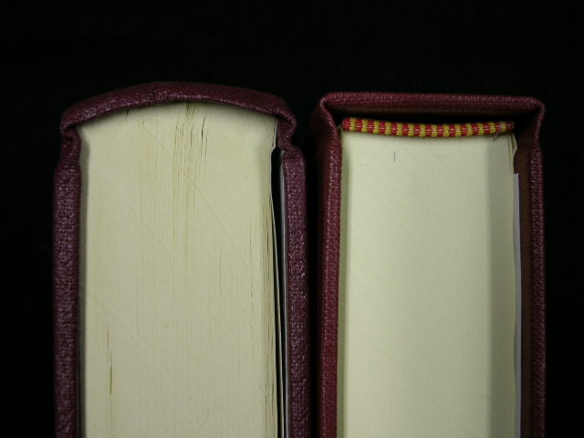 Spine construction comparison.